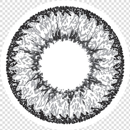 Geo Nudy Grey Lenses  HD Png DownloadTransparent PNG