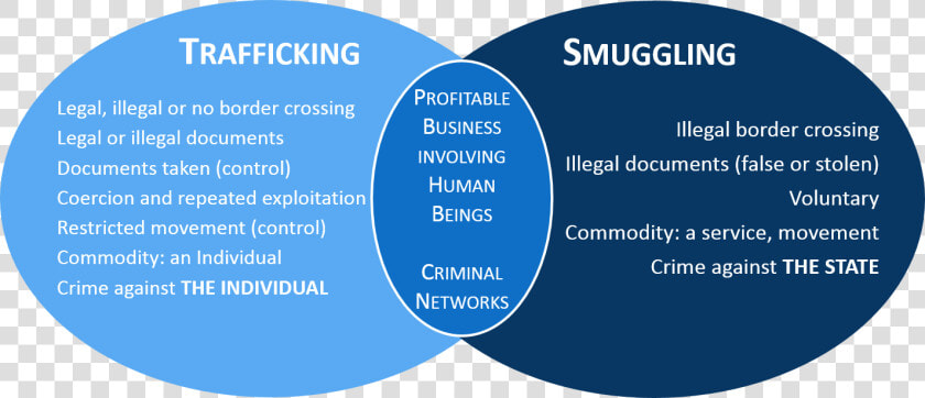 Smugglingvstrafficking   Trafficking And Smuggling Difference  HD Png DownloadTransparent PNG