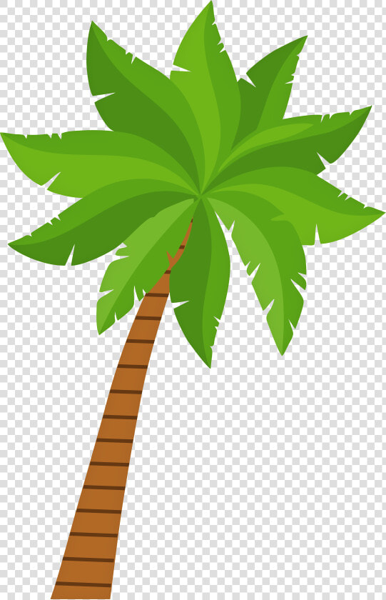 Palm Tree Png Clip Art   Palm Tree Clip Art Png  Transparent PngTransparent PNG