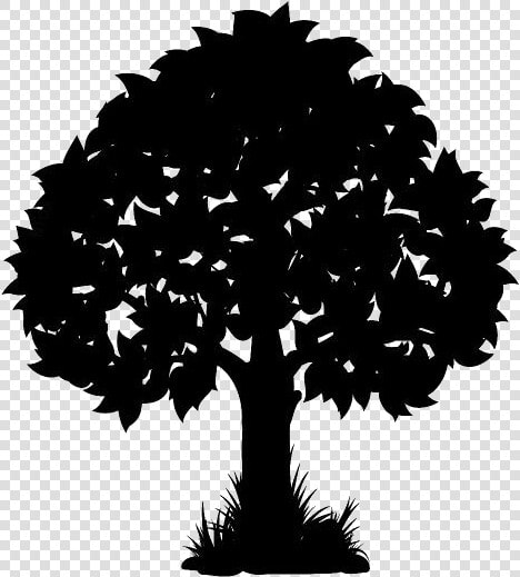 Tree Sketch Png Background   Transparent Background Tree Illustration Png  Png DownloadTransparent PNG