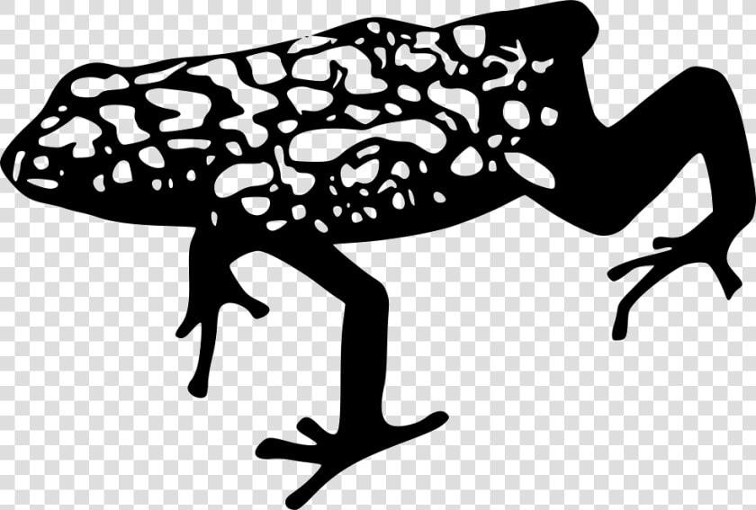 Dart Frog   Dart Frog Clipart  HD Png DownloadTransparent PNG