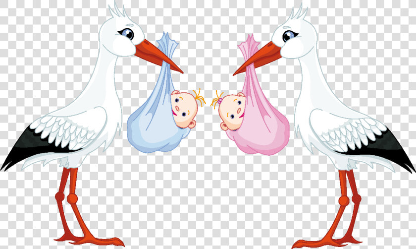 Cigueña Para Baby Shower Png   Twins Boy And Girl Clipart  Transparent PngTransparent PNG