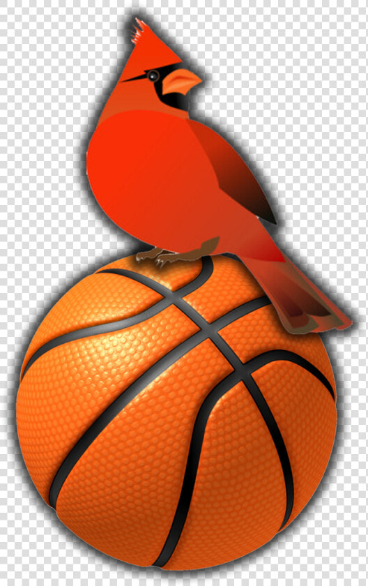 Ballon De Basket Ball Png  Transparent PngTransparent PNG