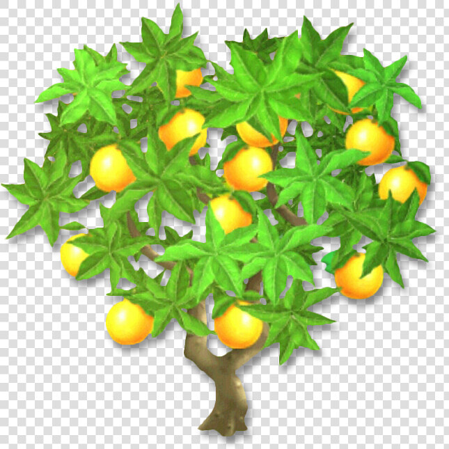 Rangpur  HD Png DownloadTransparent PNG