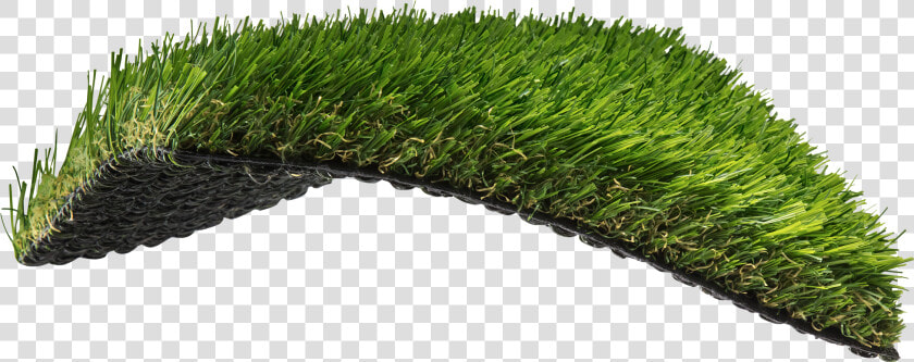 South Atlantic Inspired   Sweet Grass  HD Png DownloadTransparent PNG