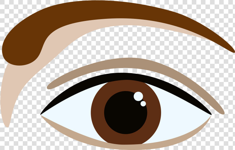 L shaped Brow  HD Png DownloadTransparent PNG