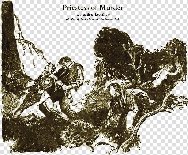 Cover Image Title Priestess Of Murder  HD Png DownloadTransparent PNG