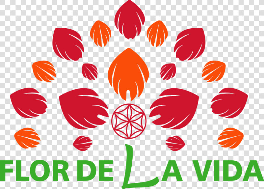 Transparent Flor De La Vida Png   Illustration  Png DownloadTransparent PNG