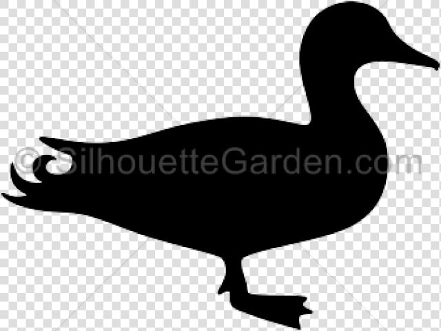 Wood Duck Clipart Silhouette Flying   Mallard Duck Silhouette Clip Art  HD Png DownloadTransparent PNG