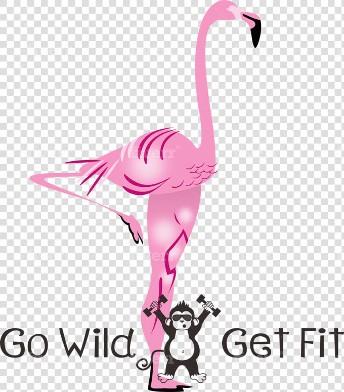 Greater Flamingo  HD Png DownloadTransparent PNG