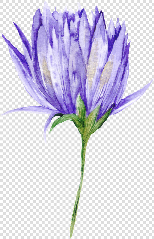 Purple Black Flower Branch Transparent Decorative   Fondo De Pantalla Acuarela Flores Azules  HD Png DownloadTransparent PNG