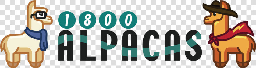 1800 Alpacas   Graphic Design  HD Png DownloadTransparent PNG