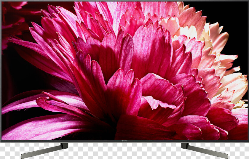 65   Sony Bravia Smart Tv 55 Inch  HD Png DownloadTransparent PNG