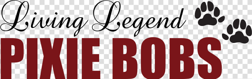 Living Legend Pixie Bobs   Calligraphy  HD Png DownloadTransparent PNG