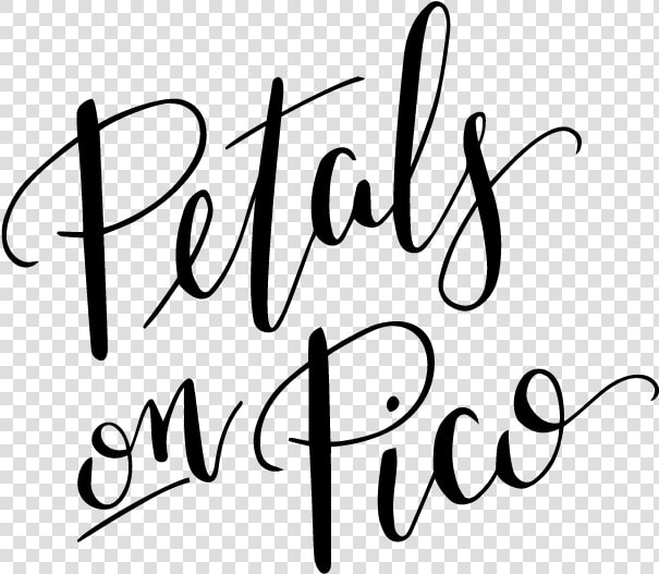 Petals On Pico Png   Calligraphy  Transparent PngTransparent PNG
