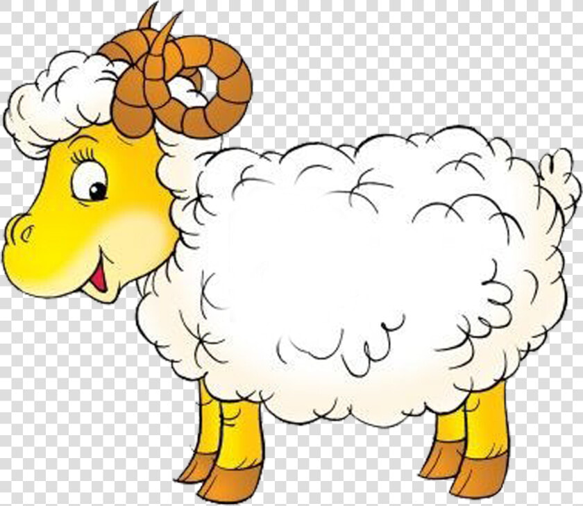 Lamb  Goat  Sheep  Baby Lamb  Baby Sheep Clipart     Sheep Outline  HD Png DownloadTransparent PNG