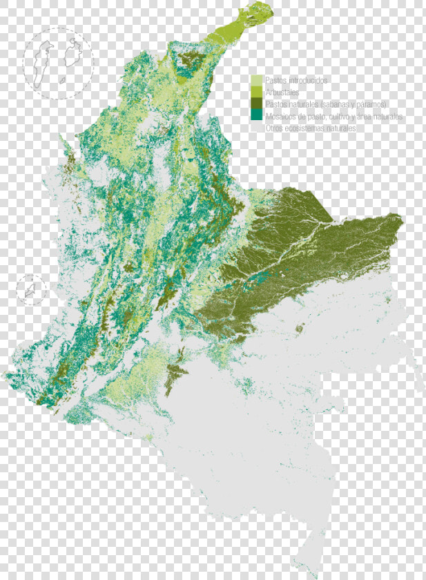 Recursos Ganaderos De Colombia  HD Png DownloadTransparent PNG