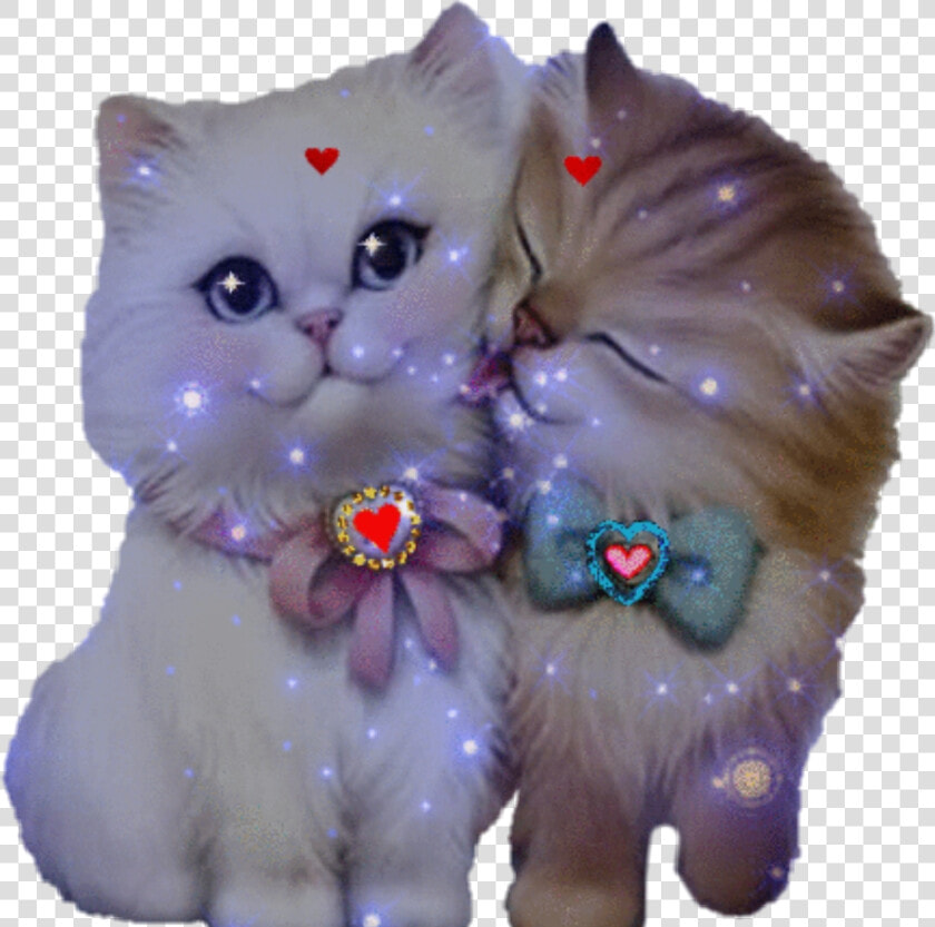  gatos Enamorados 😍   Любовь Милые Картинки Животных  HD Png DownloadTransparent PNG