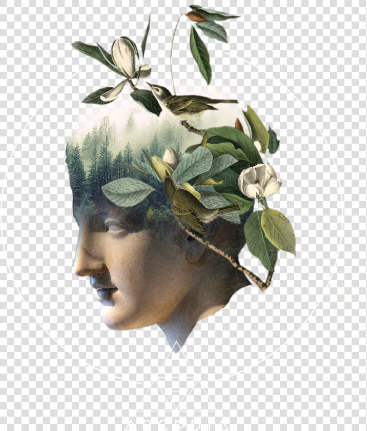 Logo   Arcadia Earth Logo  HD Png DownloadTransparent PNG