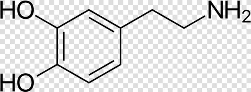 Img 7881   Dopamine Skeletal Structure  HD Png DownloadTransparent PNG