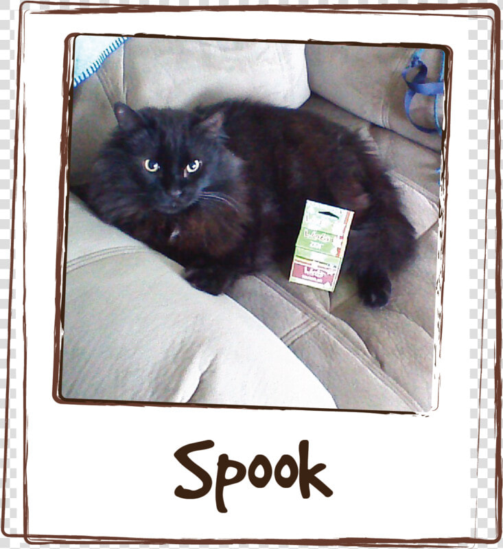 “giving Spook Licks Zen Has Calmed Him Down So He Isn  HD Png DownloadTransparent PNG