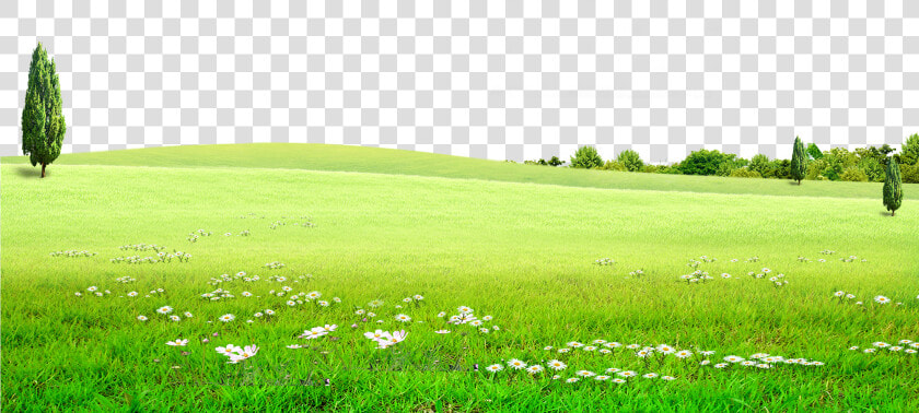 Hd Graphic Stock Land Grassland For Free Download On   Green Land Background Png  Transparent PngTransparent PNG