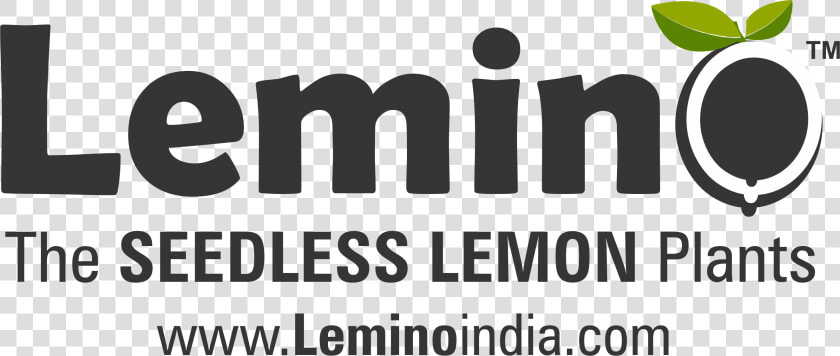 Nimbu Png  Transparent PngTransparent PNG