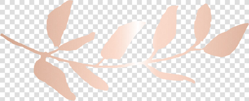 Vertias Studio Branch Rose Gold   Twig  HD Png DownloadTransparent PNG