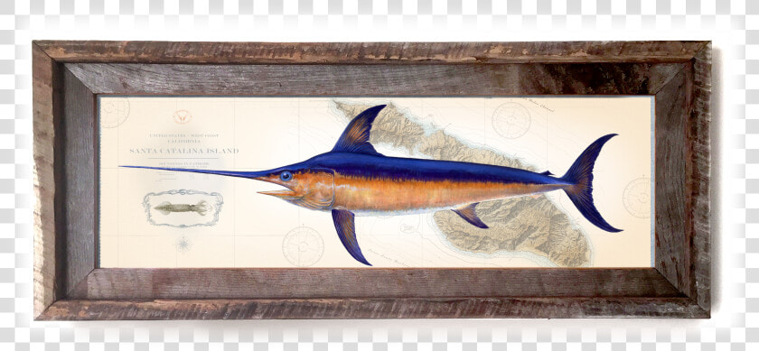 Atlantic Blue Marlin  HD Png DownloadTransparent PNG