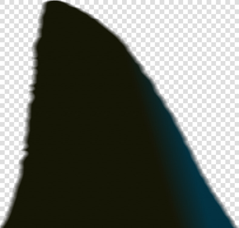 Shark Fin   Wood  HD Png DownloadTransparent PNG