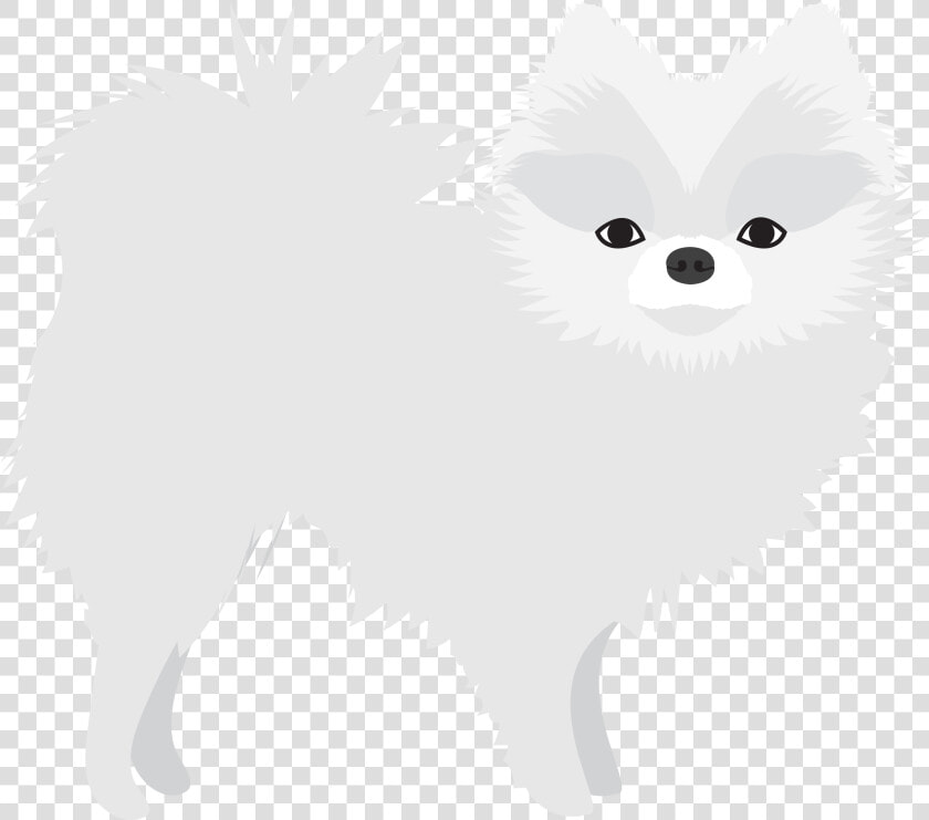 Pomeranian  HD Png DownloadTransparent PNG