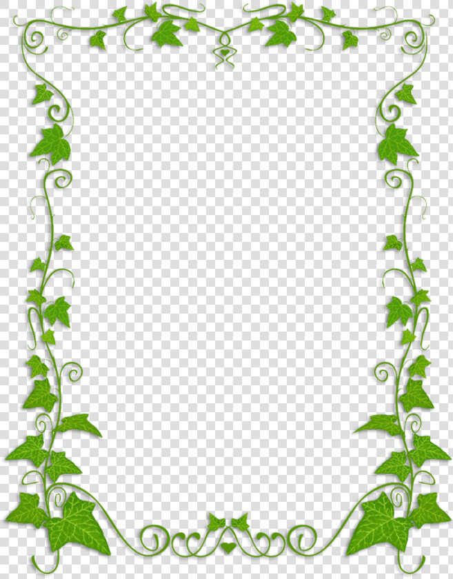 Common Ivy Plant Vine Clip Art   Transparent Background Vine Borders  HD Png DownloadTransparent PNG