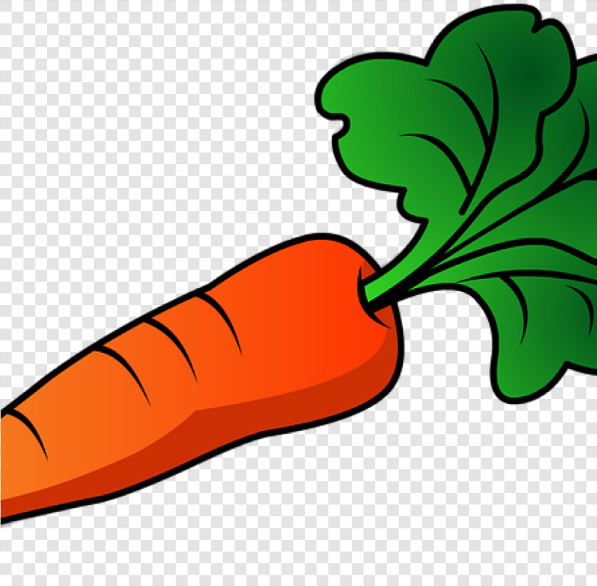 Free Carrot Clipart 19 Carrot Jpg Transparent Huge   Transparent Background Carrot Clipart  HD Png DownloadTransparent PNG