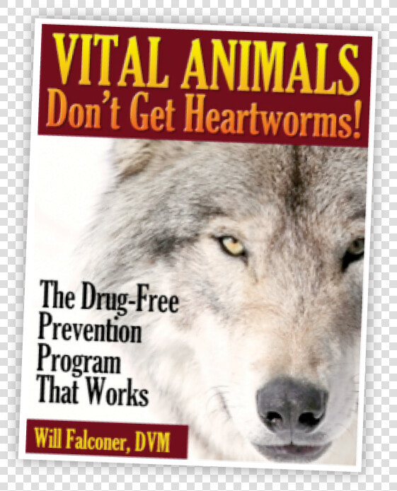 Newtovital   Dog Yawns  HD Png DownloadTransparent PNG