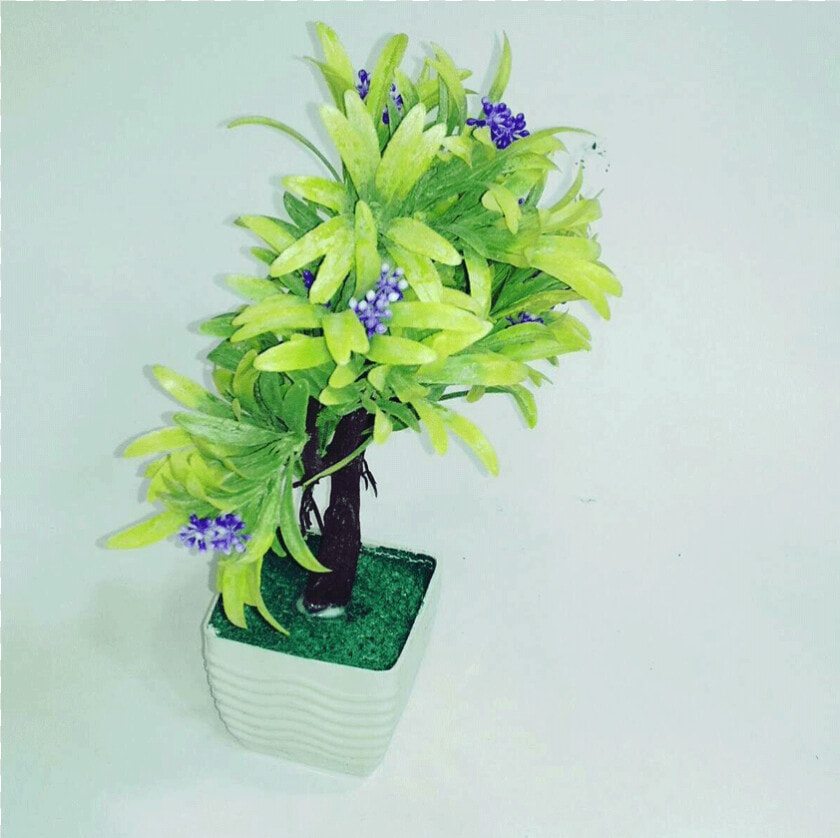 Thumb   Flowerpot  HD Png DownloadTransparent PNG