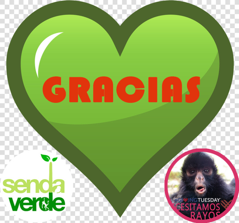 Gracias   Heart  HD Png DownloadTransparent PNG