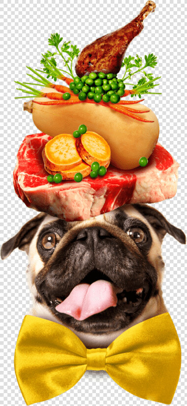 A Pug Dog Wearing A Large Yellow Bowtie  And Balancing   Pug Dog On His Head Fruits  HD Png DownloadTransparent PNG