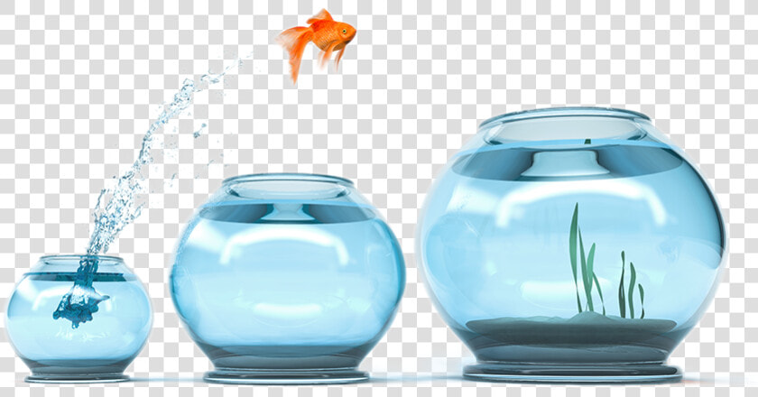 People Oriented  HD Png DownloadTransparent PNG