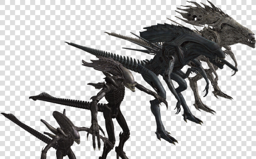 Transparent Xenomorph Png   Alien King Vs Alien Queen  Png DownloadTransparent PNG