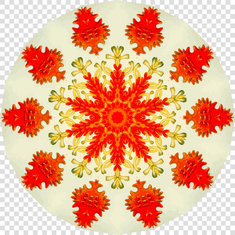 United States System Information   Hindustan Group Of Institutions  HD Png DownloadTransparent PNG