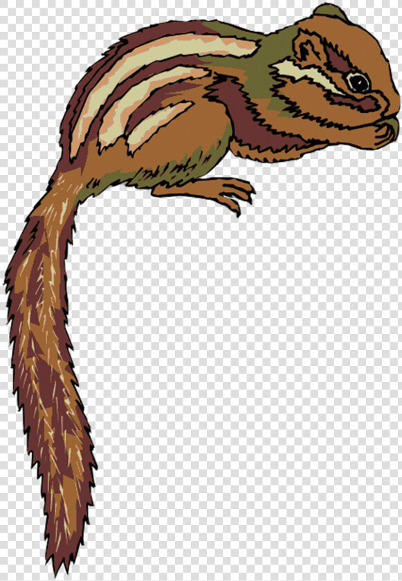 Chipmunk  HD Png DownloadTransparent PNG