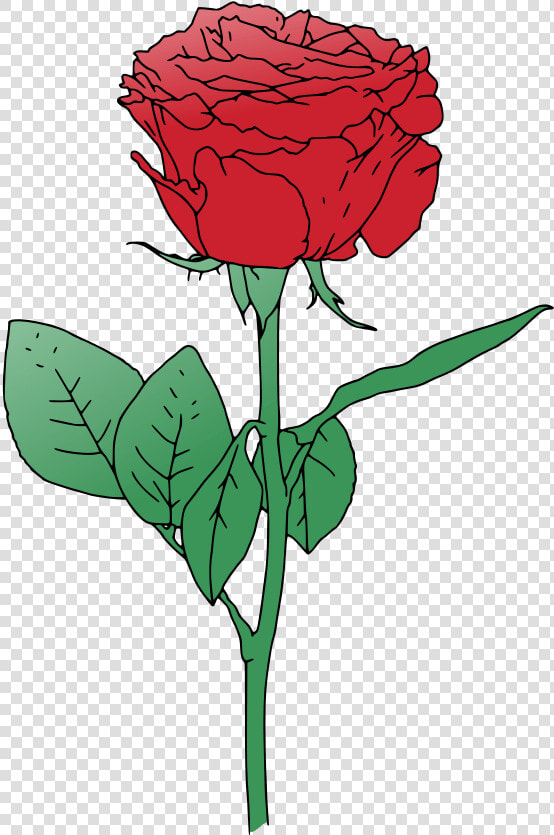 Red Vector Rooweb   Red Roses Vector Free  HD Png DownloadTransparent PNG