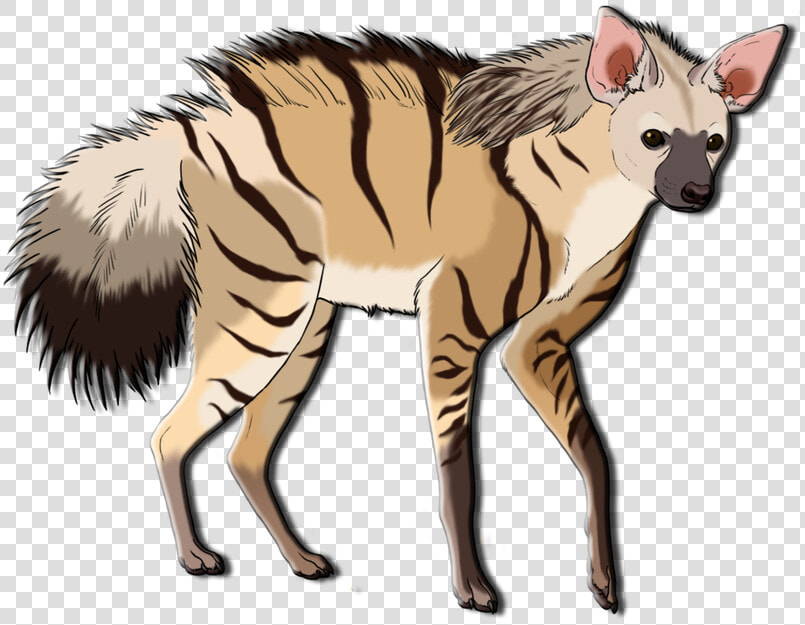 Aardwolf Png  Transparent PngTransparent PNG