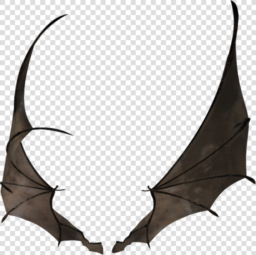 Bat Wing Wings Batwing Batwingsfreetoedit   Small Dragon Wings Mmd  HD Png DownloadTransparent PNG