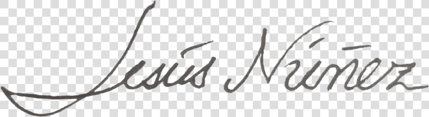 Firmas Png Sin Fondo  Transparent PngTransparent PNG