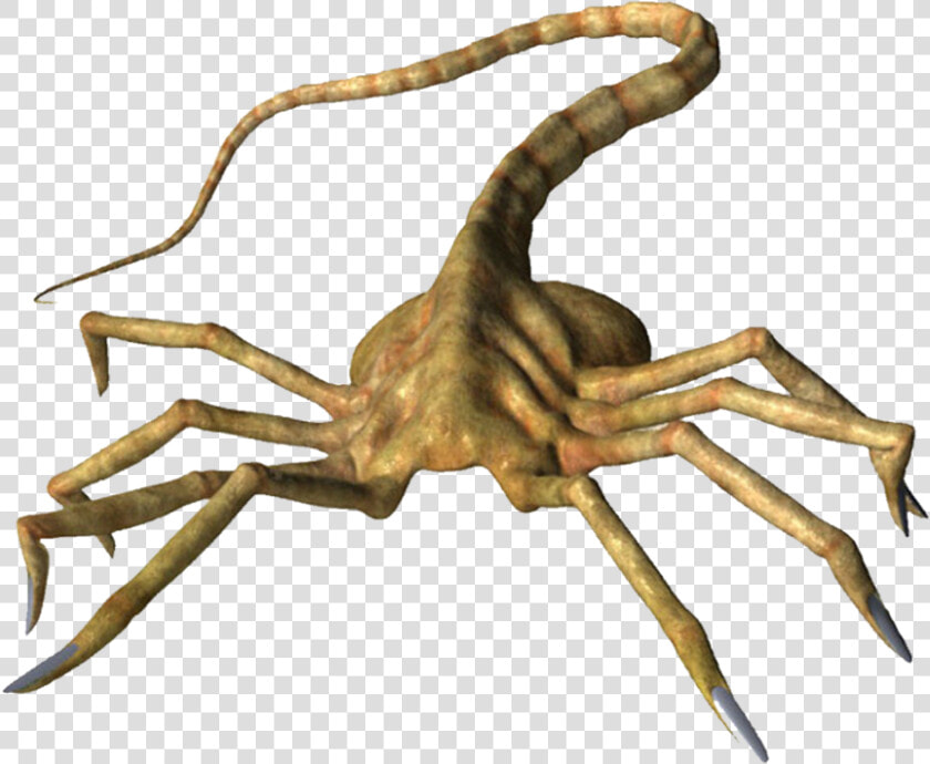 Facebook Like Thumbs Up Png   Face Hugger Png  Transparent PngTransparent PNG