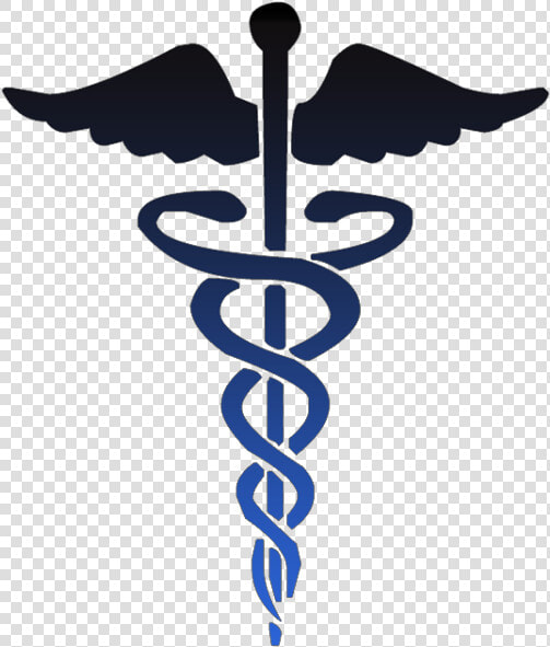 Caduceus Medical Symbol Black   Clip Art Medical Symbol  HD Png DownloadTransparent PNG