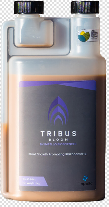 Tribus bloom   Rhizobacteria  HD Png DownloadTransparent PNG