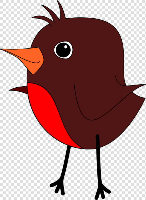 Robin S   Robin Bird Face Clip Art  HD Png DownloadTransparent PNG