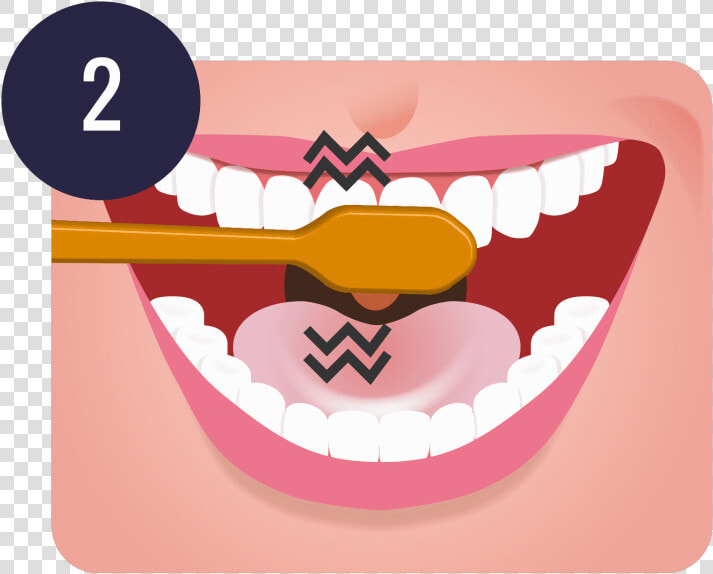 Free Download Brushing Teeth Png Clipart Tooth Brushing   Teeth Mouth Brush Clip Art  Transparent PngTransparent PNG